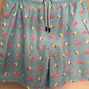 MENS FLAMINGO SWIM TRUNKS